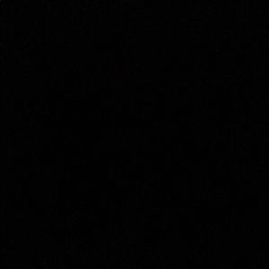 Meet your Posher, Dasha